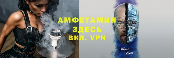 гидра Вяземский